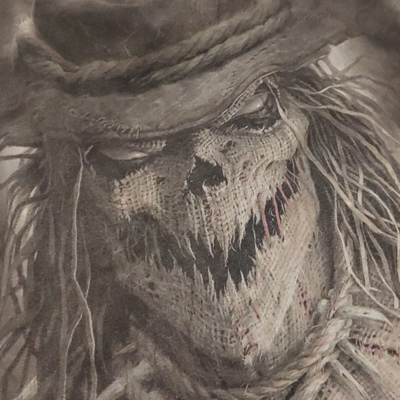 Scarecrow t-shirt - Picture 3 of 3